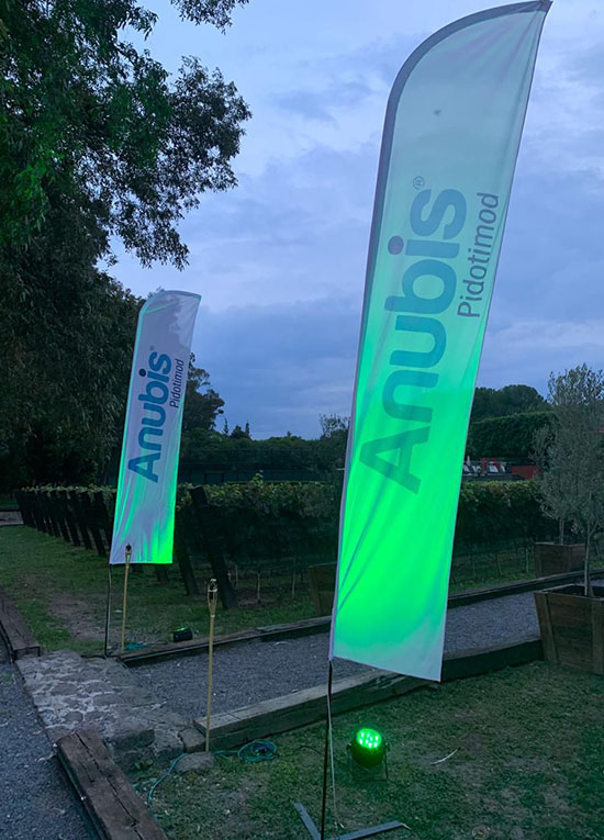 Servicios Motion Media